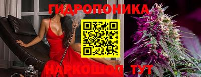 бошки Донецк
