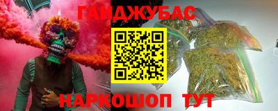 крисы Дубна