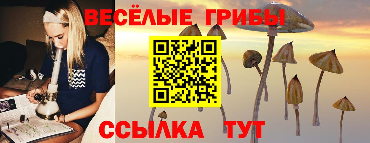 Псилоцибиновые грибы мухоморы  Вход с VPN  Миллерово 